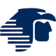 airline-icon